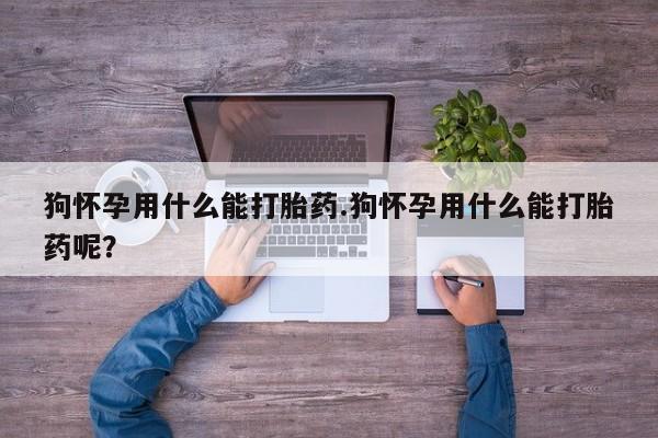堕胎药使用狗怀孕用什么能打胎药.狗怀孕用什么能打胎药呢？