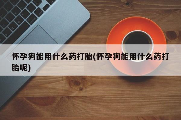堕胎药使用怀孕狗能用什么药打胎(怀孕狗能用什么药打胎呢)