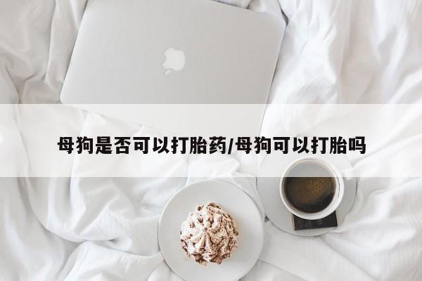 堕胎药使用母狗是否可以打胎药/母狗可以打胎吗